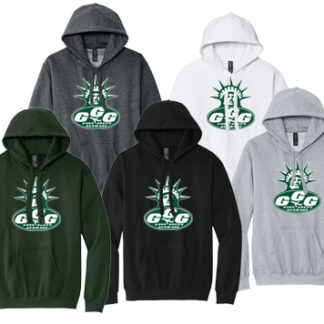 1Softstyle® Midweight Sweat Adult Hoodie SF500 LOGO